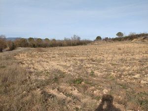 Vente terrain agricole