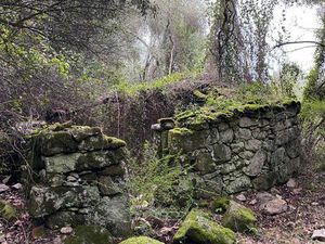 Parcelles boisées avec ruine bergerie cadastrée en sortie de Pila Canale