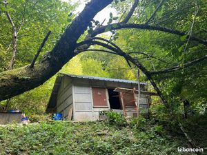 Vend cabane en forêt avec terrain 13  50 ares