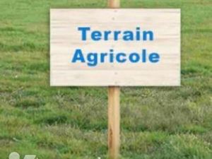 Terrain 57296 m² PLOUGUERNEVEL