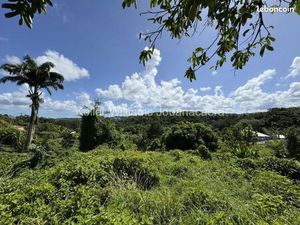 Terrain 3 500 m² Saint Joseph