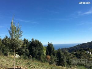 Terrain Haute Corse constructible