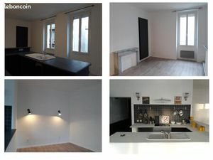 Grand studio 42 m2 plein sud