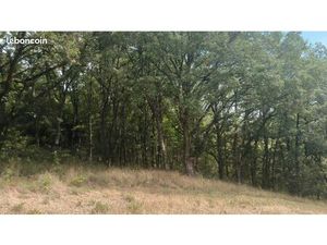 Terrain ruine non cadastré et bois