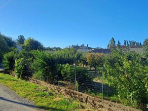 Terrain 3 870 m² Rians