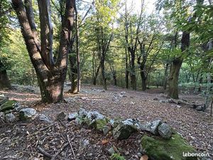 Terrain agricole châtaigneraie bouche rouge