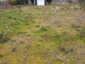 Terrain constructible zone artisanale