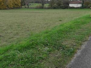 Terrain 2 559 m² Montsales