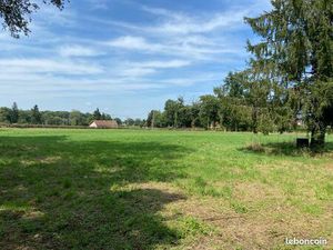 Terrain constructible