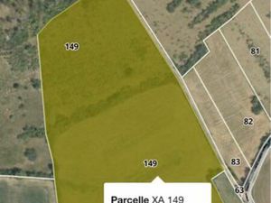 Terre agricole/prairie