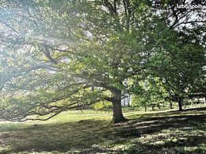 à vendre — domaine d’exception pour projet touristique