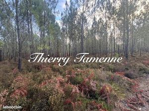 Forêt 40 400 m² Prechac