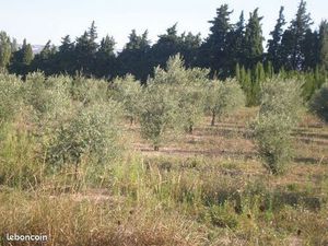 Terrain viabilise trigance