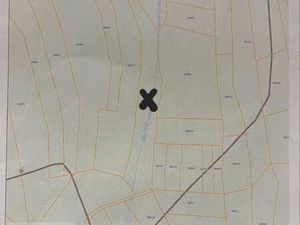 Terrain boisé à vendre