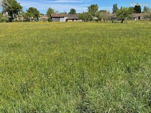 Terrain 1 135 m² Villereal