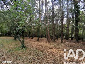 Terrain 5620 m² Cenne Monestiès