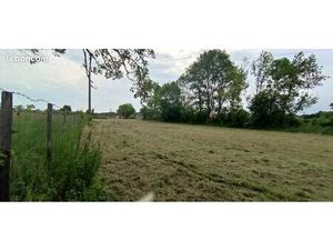 Vente terrain constructible - 1916 m² - PC Purgé