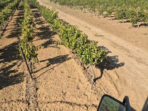 Propriété viticole