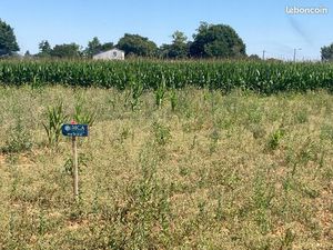 Terrain 630 m² Balanzac