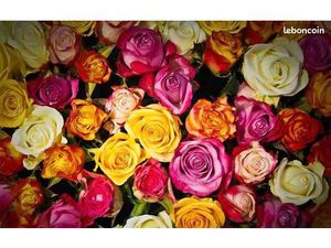 Fonds de commerce ROSCOFF