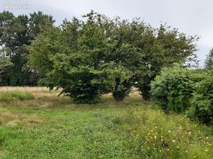 Terrain 600 m² Auros