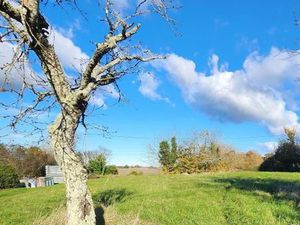 Terrain 1 500 m² Riberac