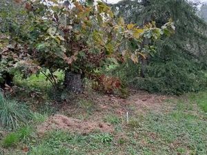 Terrain 800 m² Saint Macaire