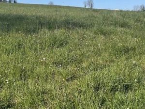 Terrain 500 m² Sauveterre De Guyenne