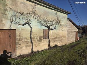 Grange 2 pièces 150 m²