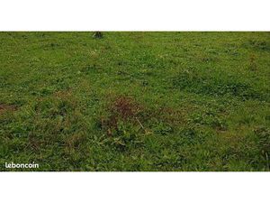 Recherche parcelle non agricole