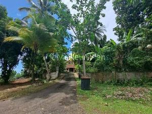 Local d'activité 1 m²