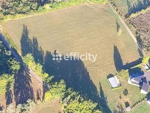 Terrain 10 021 m² Ruynes En Margeride