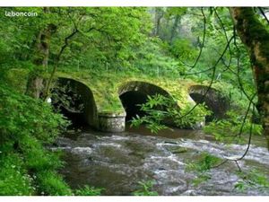 Appartement T3 à louer