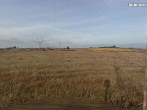 Vends 13 hectares terre