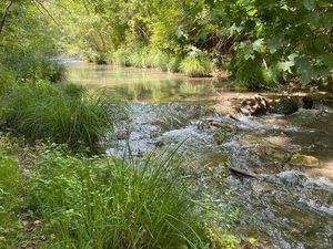 Terrain en bord de rivière