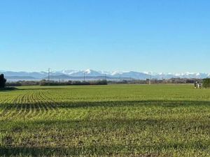 Terrain 1 135 m² Lafitte Vigordane