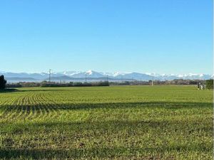 Magnifique terrain plat  vue Pyrénées