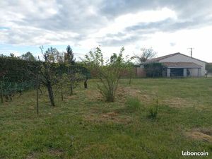 Terrain constructible