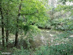 Bien Agricole 3780 m² ABILLY