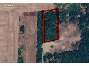 Terrain de loisir boisé 3000m2