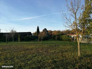Terrain Montrabé 700 m²
