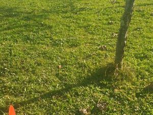 Terrain à Léguevin