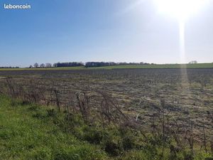 Terrain 446 m² Merville