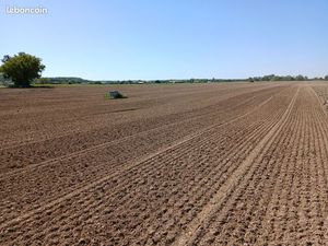 Terrain agricole