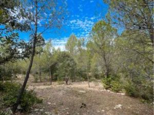 Terrain de loisir 6510 m2 - Source eau - Oliviers