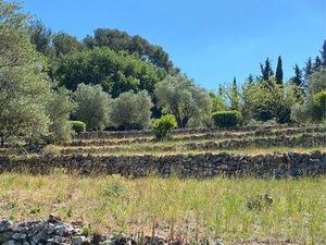 Oliveraies Terrain de Loisirs Spéculation Placement d’Argent Cadeau de Noël au Beausset Va