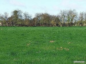 Terrain 100 m² Barquet