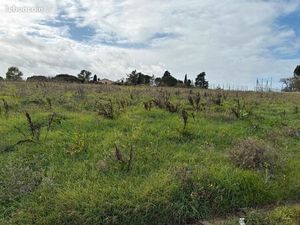 Terrain 1 024 m² Bazus