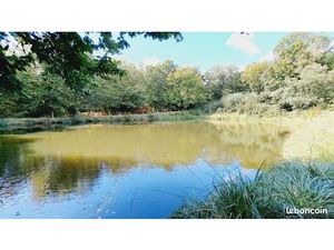 Terrain 10540 m² PAIMPONT