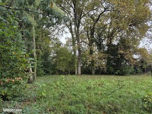 Terrain 1 040 m² Saint Germain D Esteuil